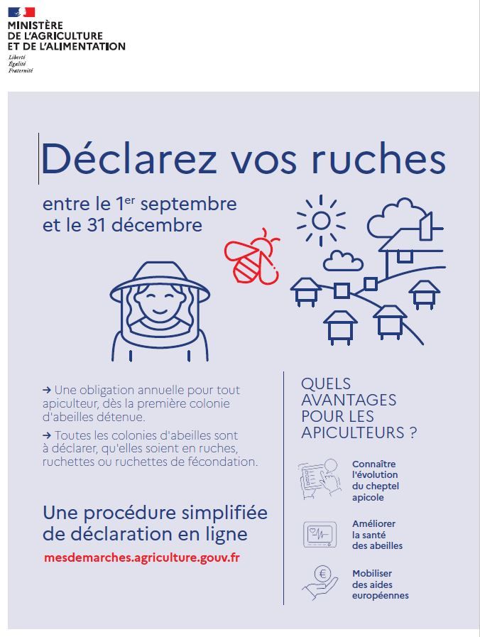 Déclarez vos ruches